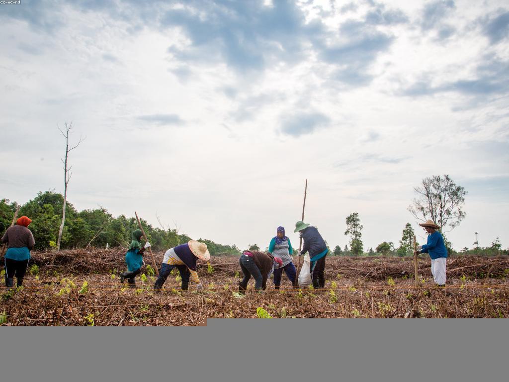 អត្ថប្រយោជន៍នៃប្រាក់បន្ថែមសម្រាប់ការបង្កើតអនាគតដ៏ភ្លឺឆ្លើយ