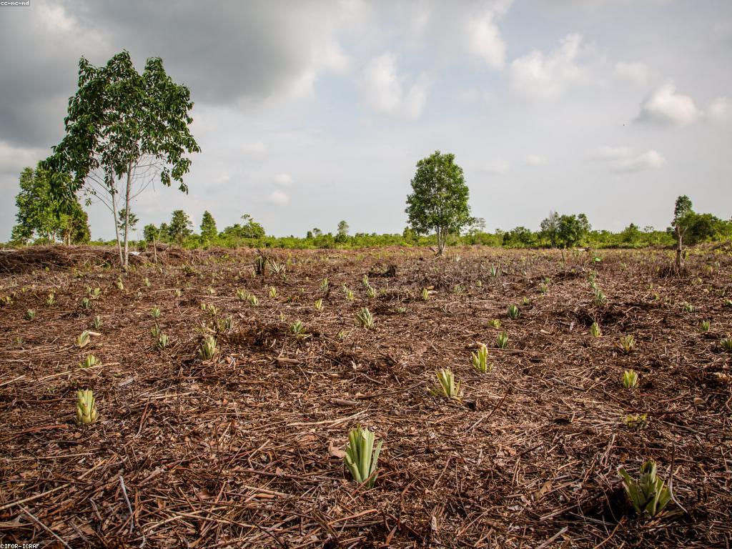 ការបង្កើតប្រាក់បន្ថែមតាមវិធីផ្សេងៗ